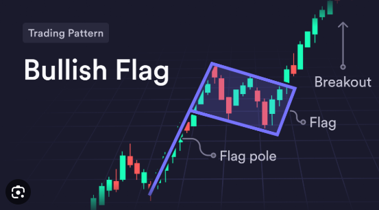 Bull flag